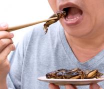 DIY: Discover Edible Insects (Entomophagy), a Workshop