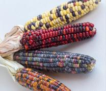 Crafternoon: Beaded Corn 