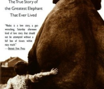 Book Discussion: "Modoc: The True Story of the Greatest Elephant That Ever Lived"