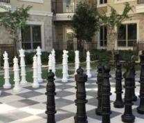 Giant Chess Program