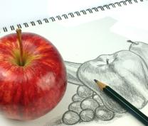 Beginner-Friendly Sketching Class with Sunny Moxin Chen