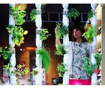 DIY: WindowFarms--Stacked Hydroponics for Small Apartments with Environmental Education Gil Lopez