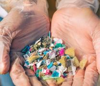 Eco-Investigators: Solving the Case of Microplastics in the Environment image