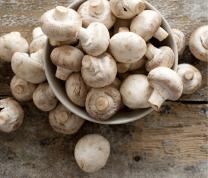 DIY: Culinary Mushrooms - Grow Mushrooms from Home