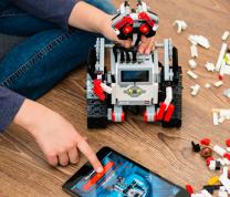 Climate Action: Snapology Engineering with Legos for Ages 11-14: A HPEEC Program image