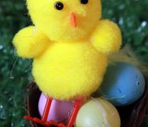 Making Chicks for Easter!