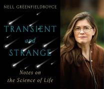 Literary Thursdays: Nell Greenfieldboyce and “Transient and Strange: Notes on the Science of Life”