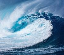 Climate Action: Saturday Science Lab: The Deep Blue Sea