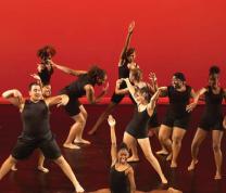 Young Dancemakers Company Performance